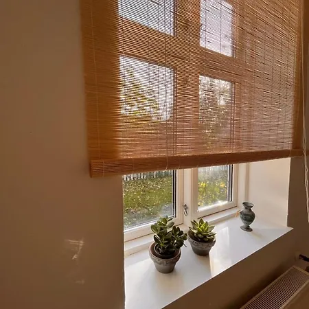 Jonas Hus - Munkgaard * Store Heddinge